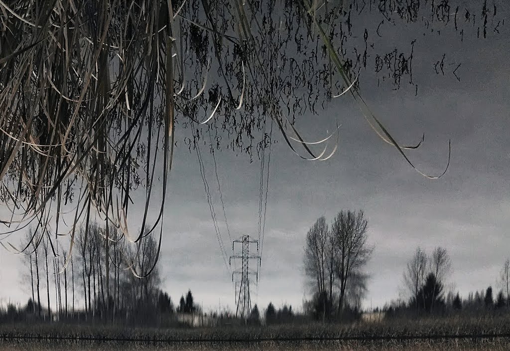 Totem Lake Flipped Power Line Reflection. Kirkland, Washington