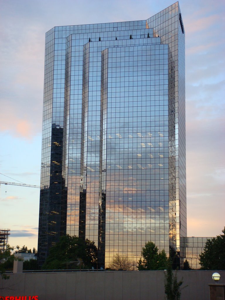 Shiny Skyscraper