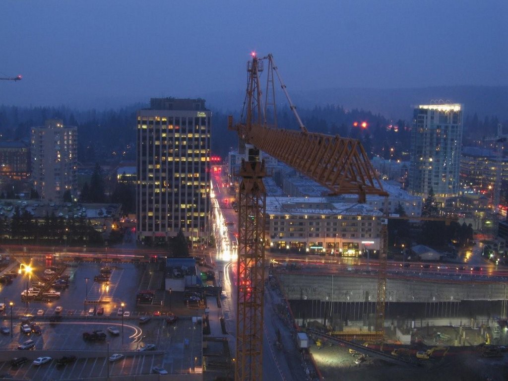 Crane at Night