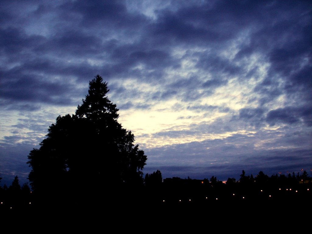 Bellevue Downtown Park