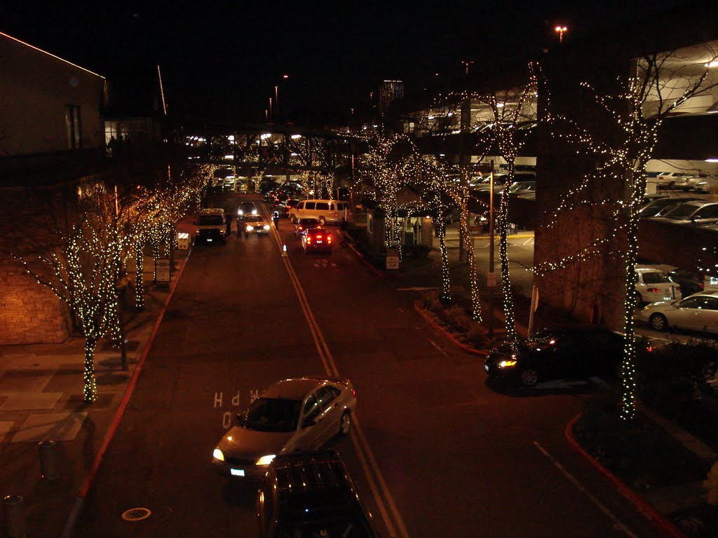 Christmas celebration in BELLEVUE