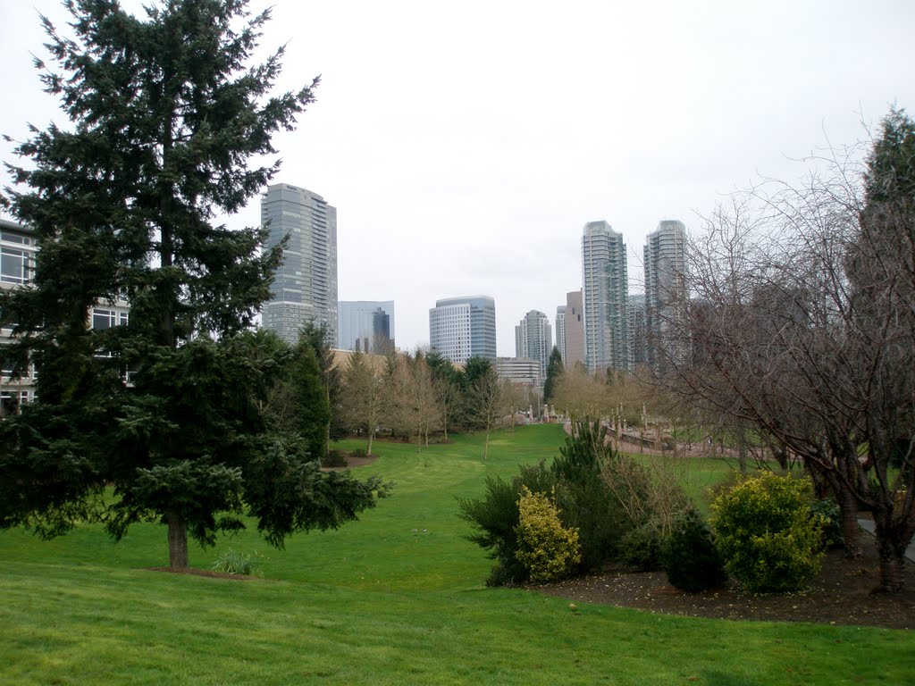 Beautiful Bellevue (Seattle)