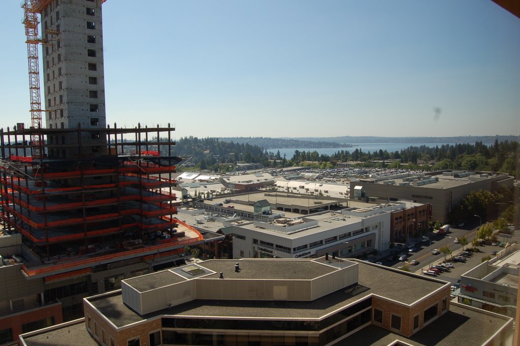 Bellevue, WA