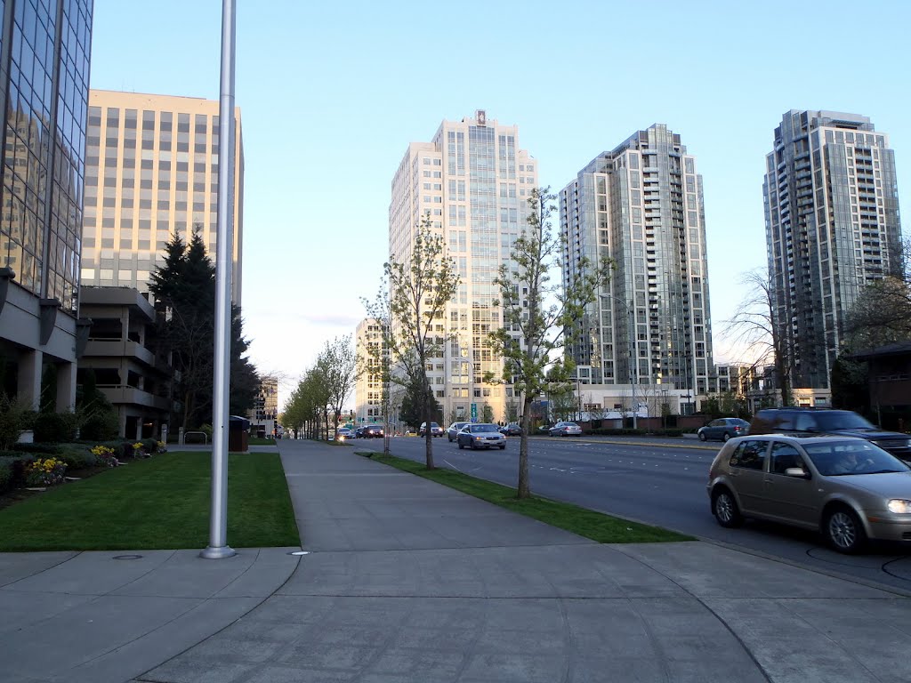 Along NE 8th St looking East