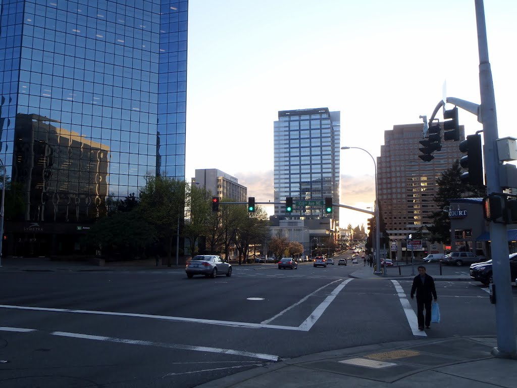 Along NE 8th St Looking West
