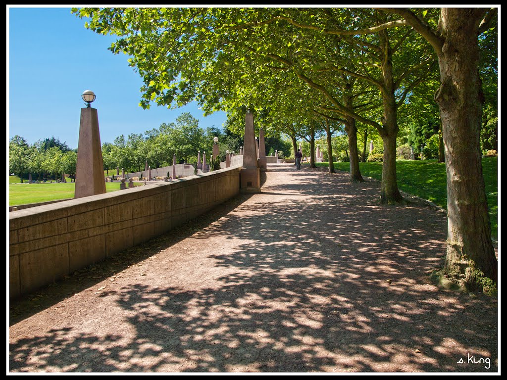 Downtown Park Bellevue