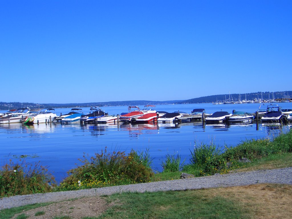 Yarrow Bay