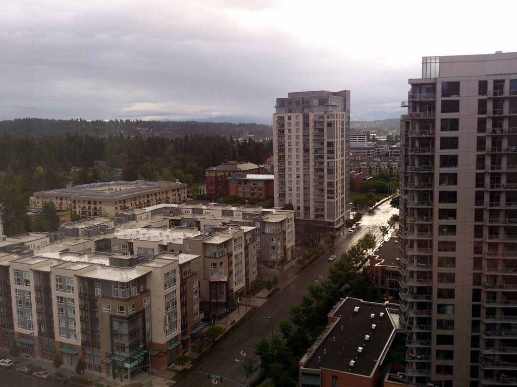 View from Hyatt, Bellevue looking East