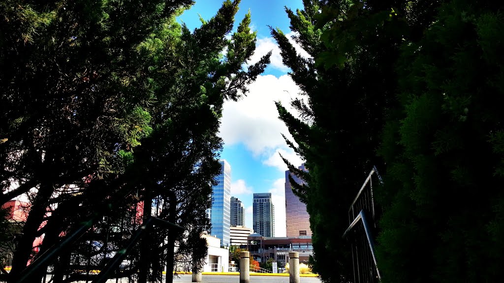 Downtown Bellevue, WA