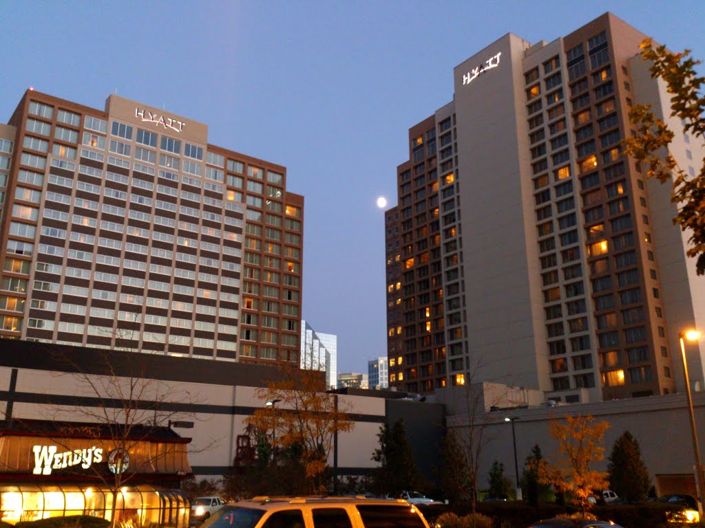 Hyatt Bellevue
