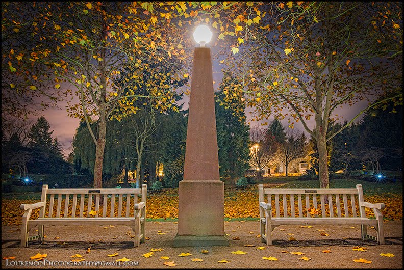 Bellevue Downtown Maydenbauer Park