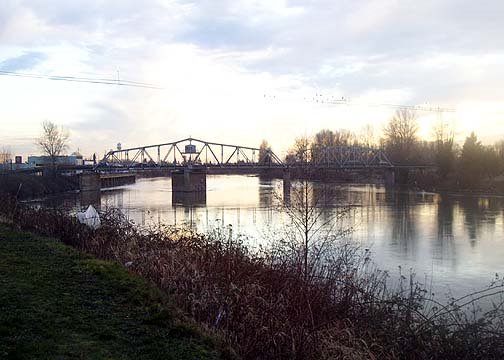 Skagit River from Lions Park