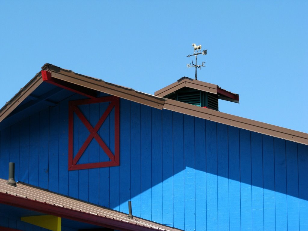 Weathervane on Wall Street