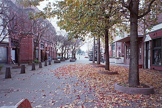 Autumn