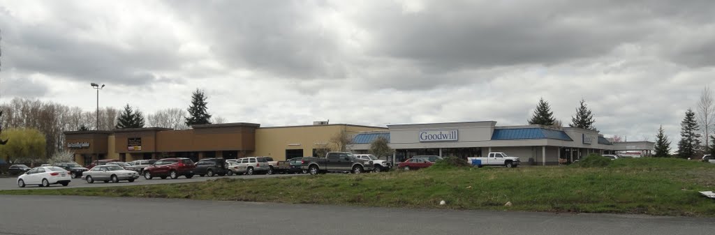 Goodwill