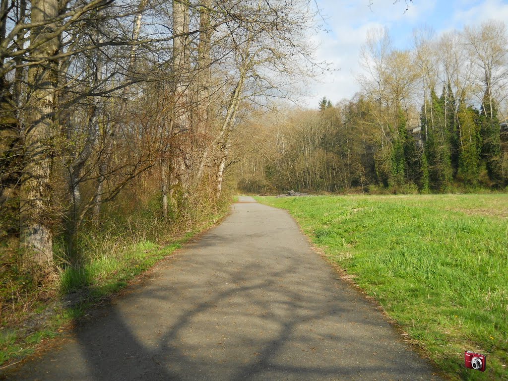 Kulshan Trail