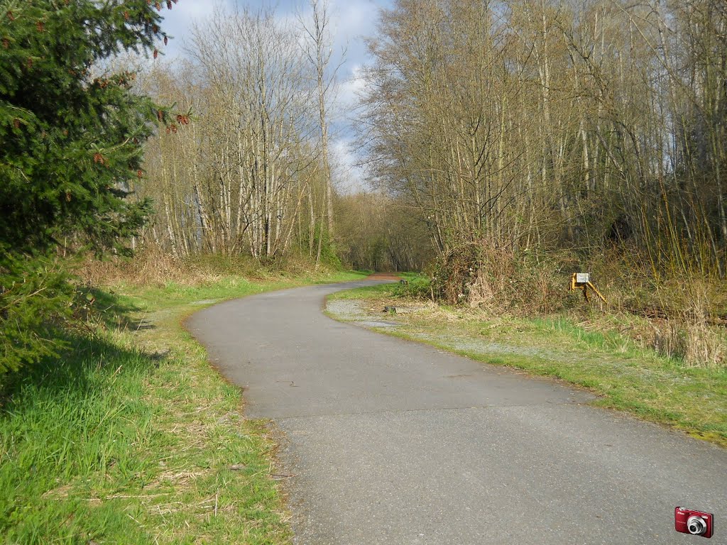 Kulshan Trail