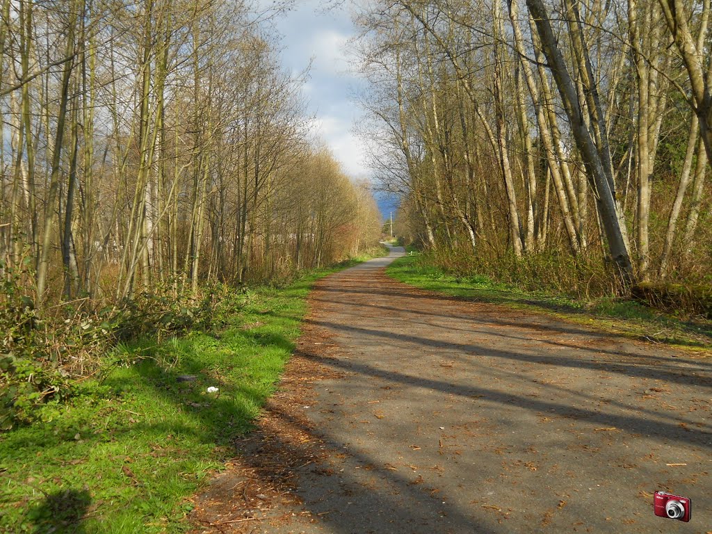 Kulshan Trail