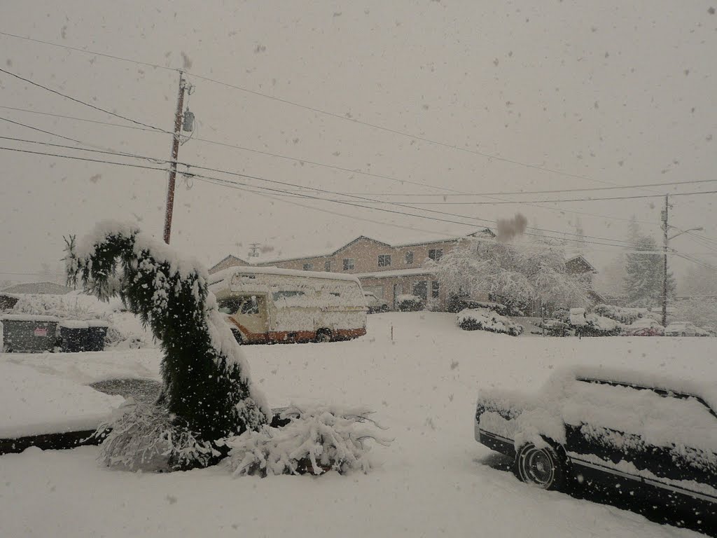 The snow of Mount Vernon