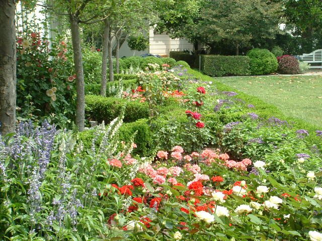 Rose Garden of White House