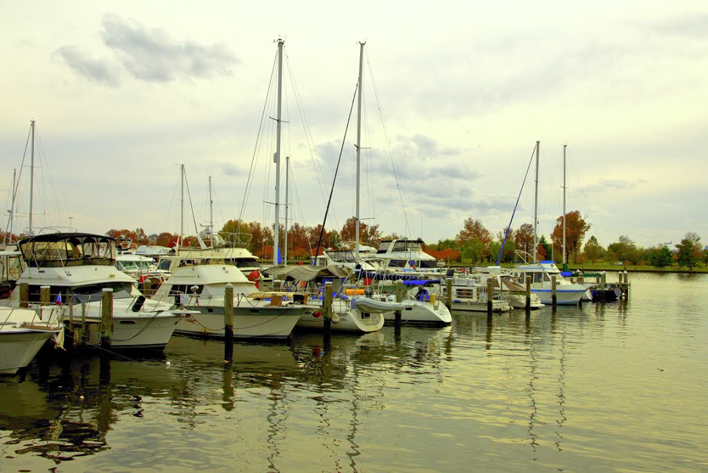 On Potomac River