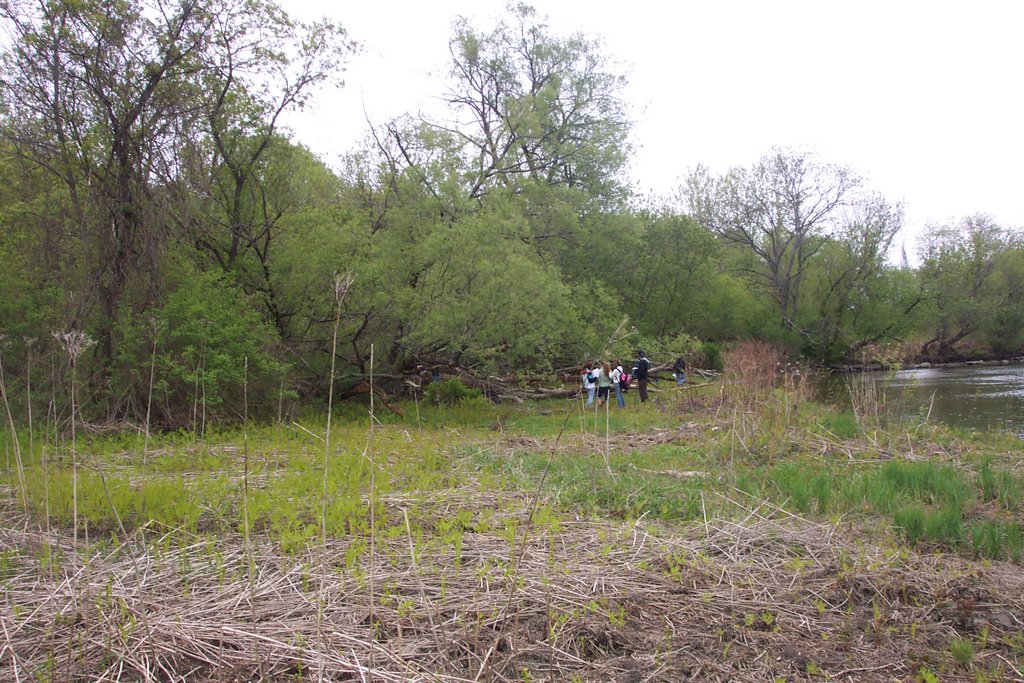 Natural community