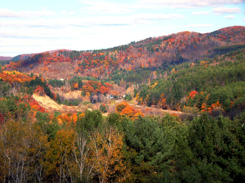 Foliage