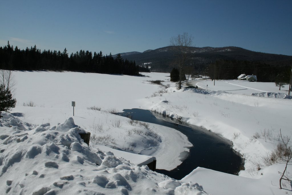 Berlin pond