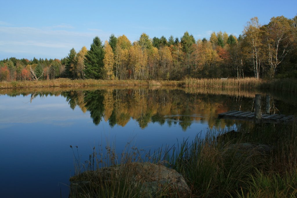 Farm Pond