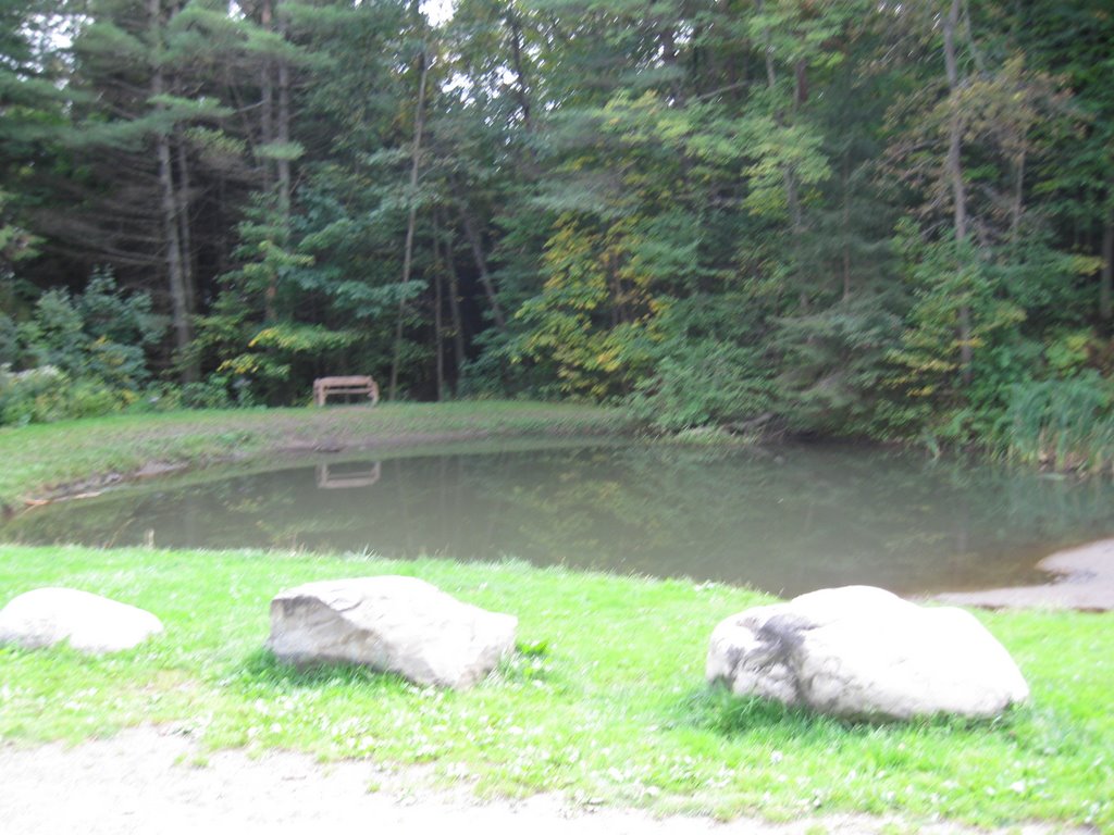 Frog Pond at Hubbard Park