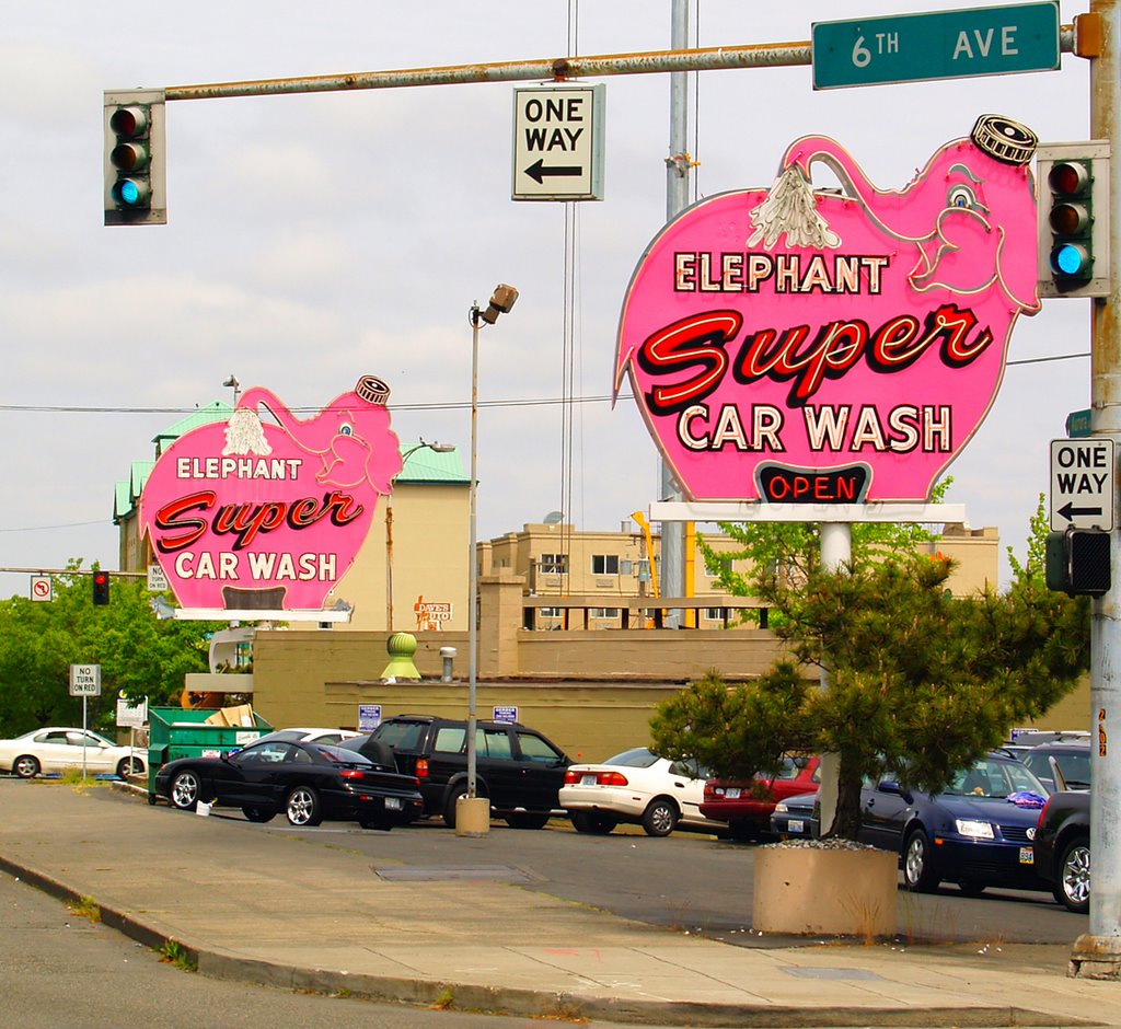 Out The Car Window / Elephant Car Wash / Seattle / Washington