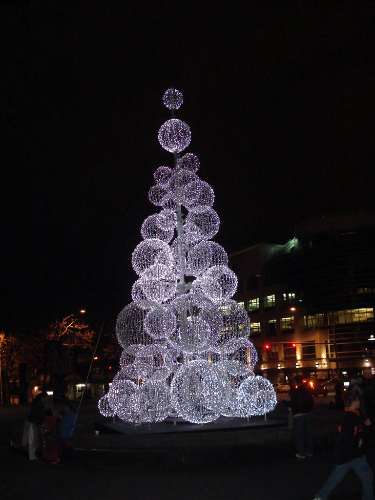 Christmas tree in vicinity of SPACE NEEDLE of SEATTLE.