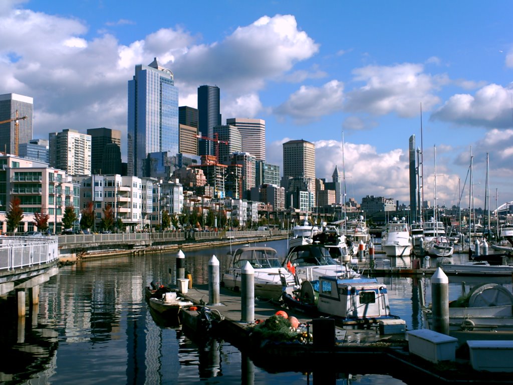Seattle Skyline from Bell Harbour Marina