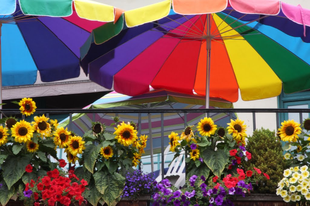 Colors in Seattle