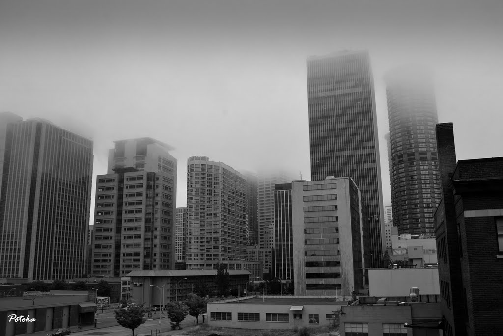 Seattle entre la niebla