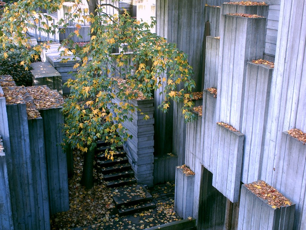 Steps in Freeway Park