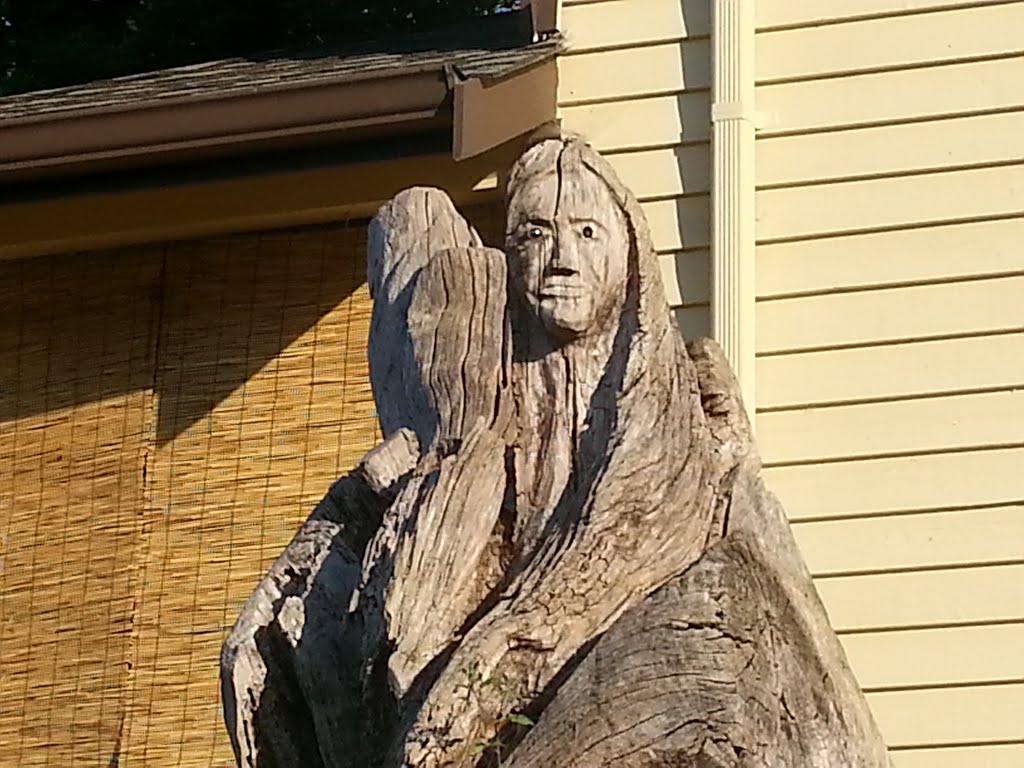 Captured in wood
