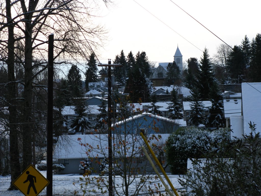 Winter in Snohomish