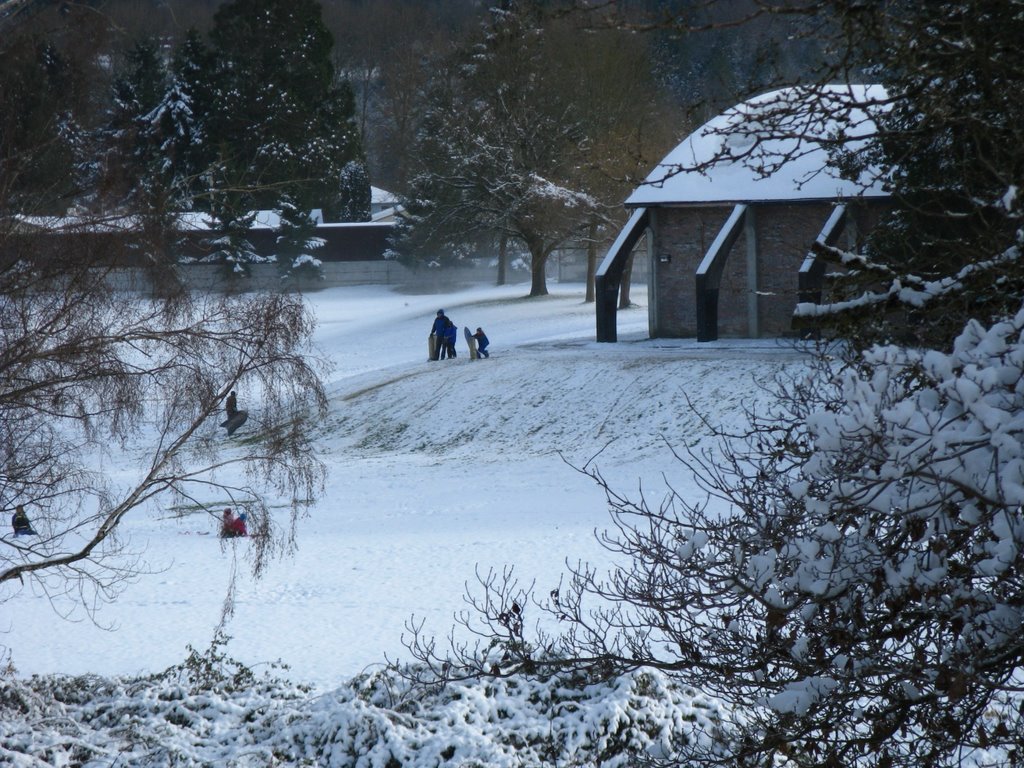 Winter in Snohomish