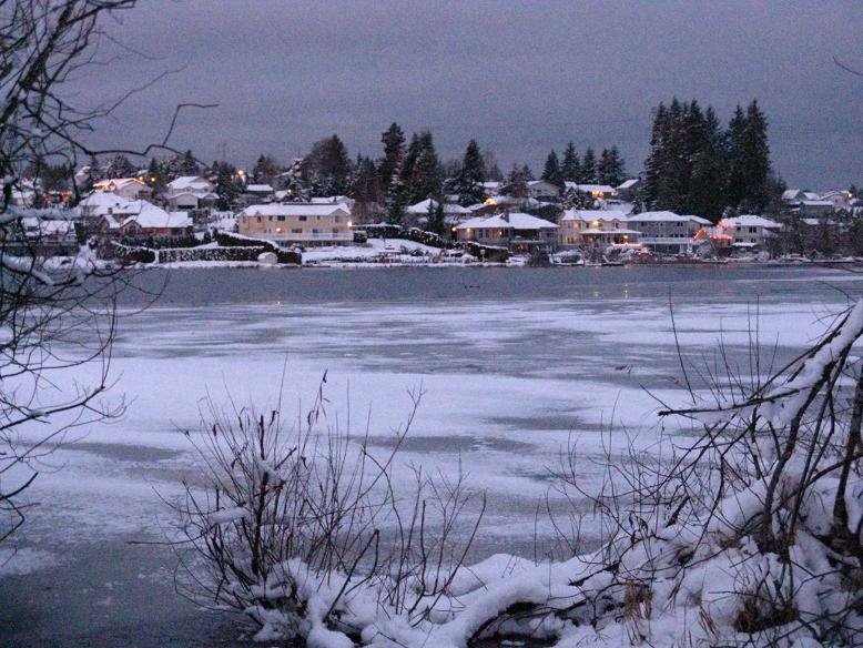 Ferguson Park in Winter