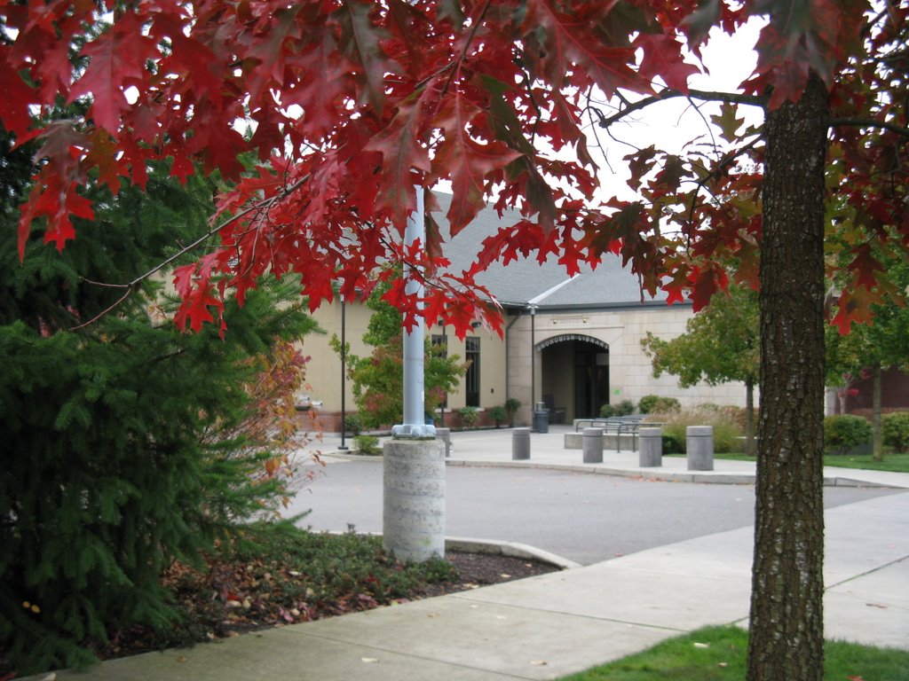 Snohomish Library