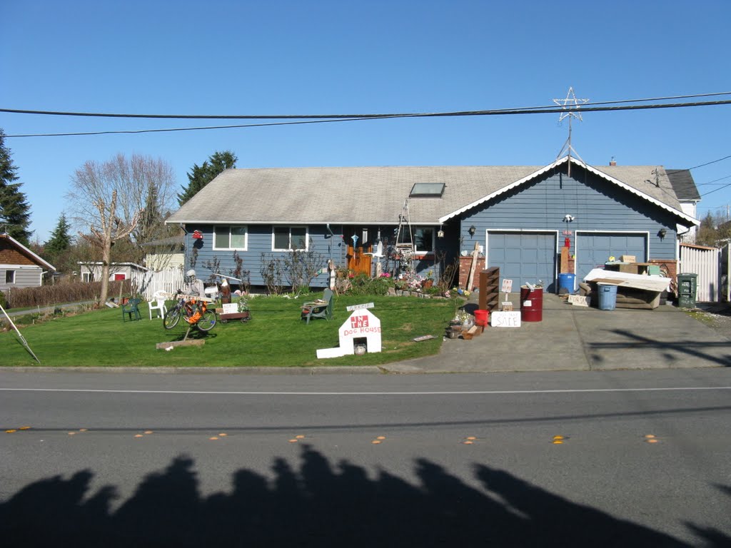 Interesting yard