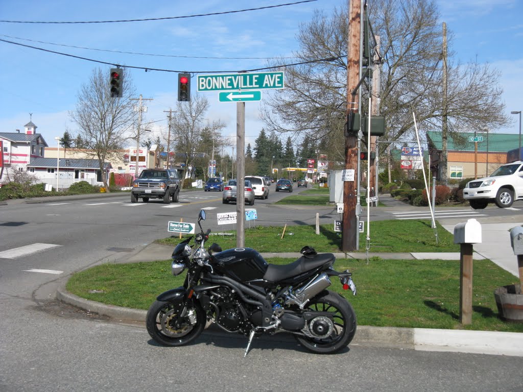 Not a Bonneville, still a Triumph!
