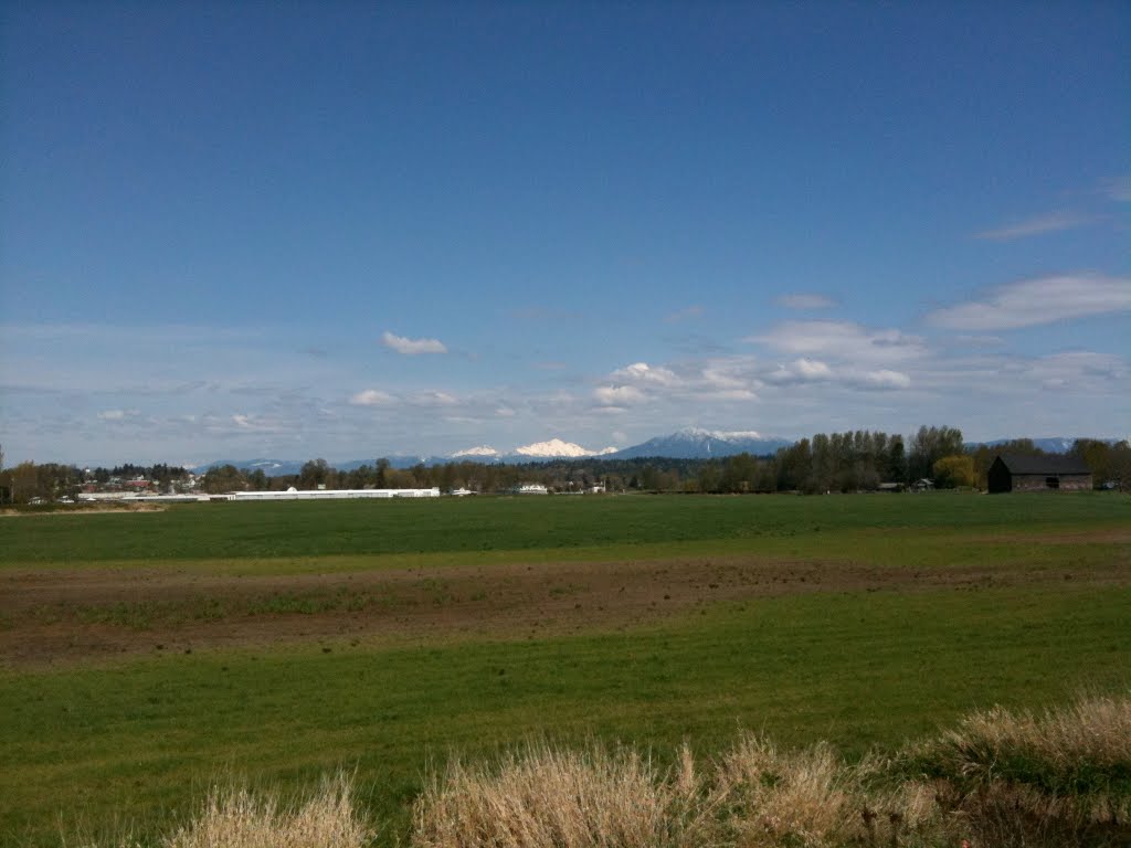 Snow-capped Cascades across Snohomish Valley