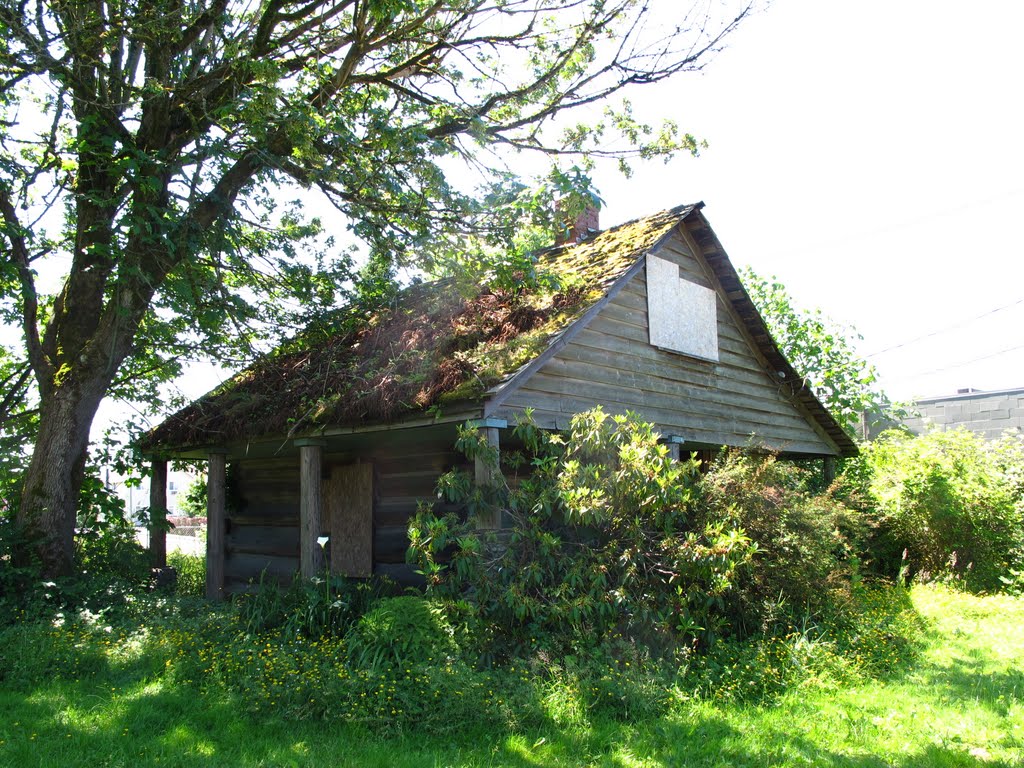 Abandoned shack