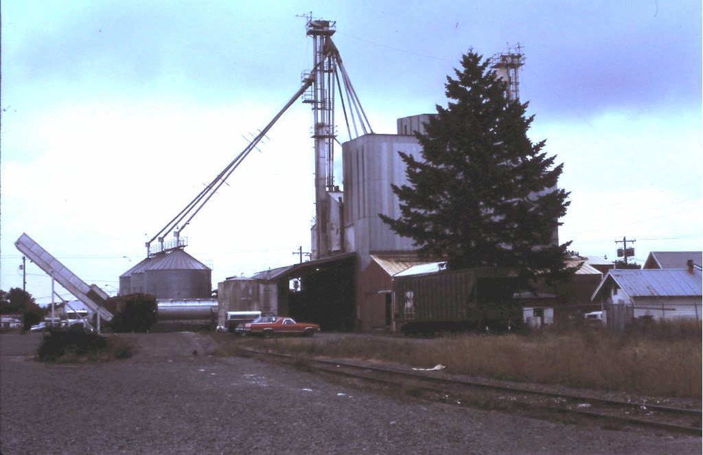 Grain Elevator Milling Co - Snohomish, WA - June 1994