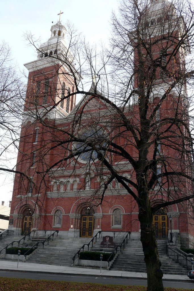 Cathedral of Our Lady of Lourdes