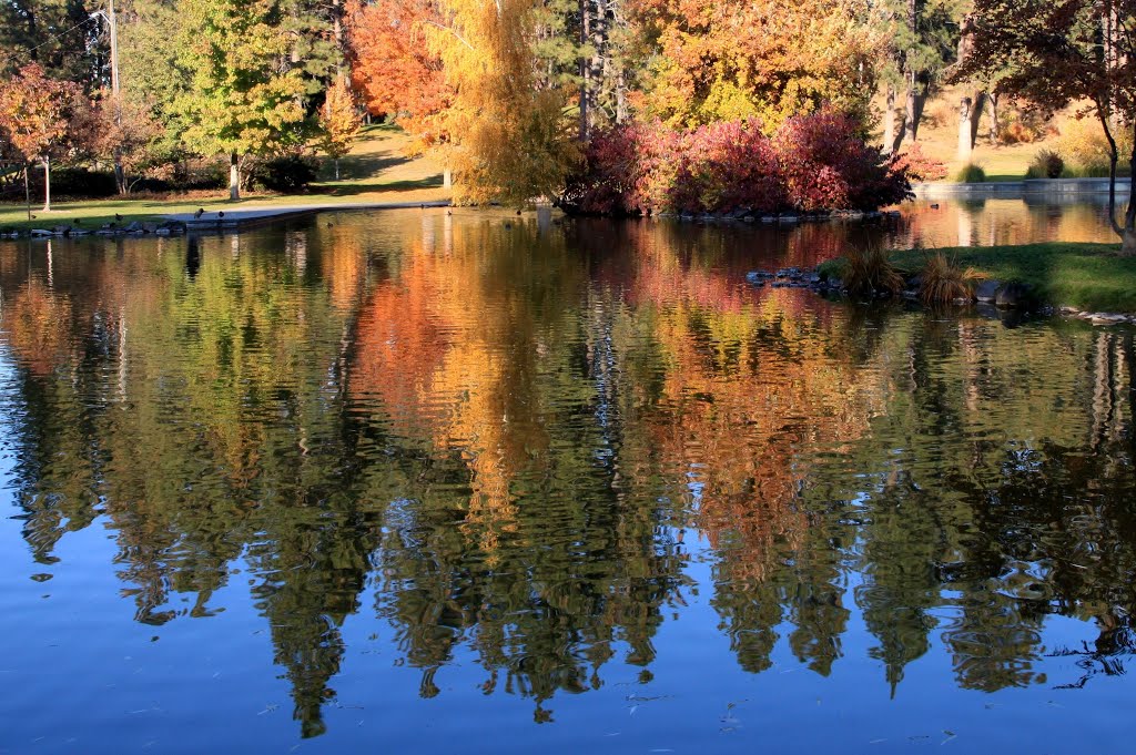 Reflections of Autumn