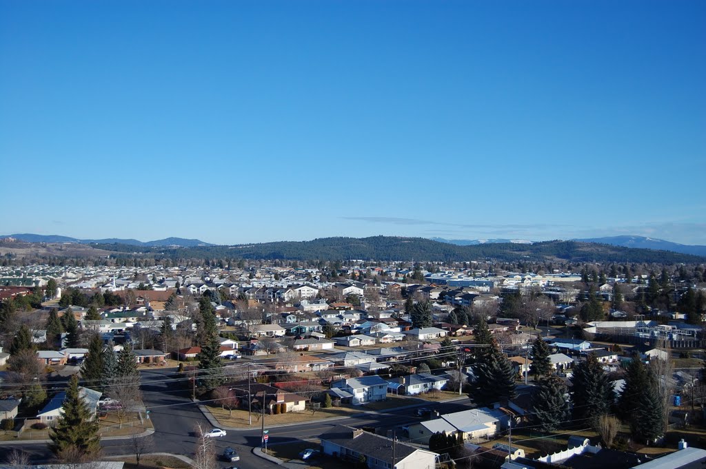 Facing N From Lilac Tower by Chris Yoder