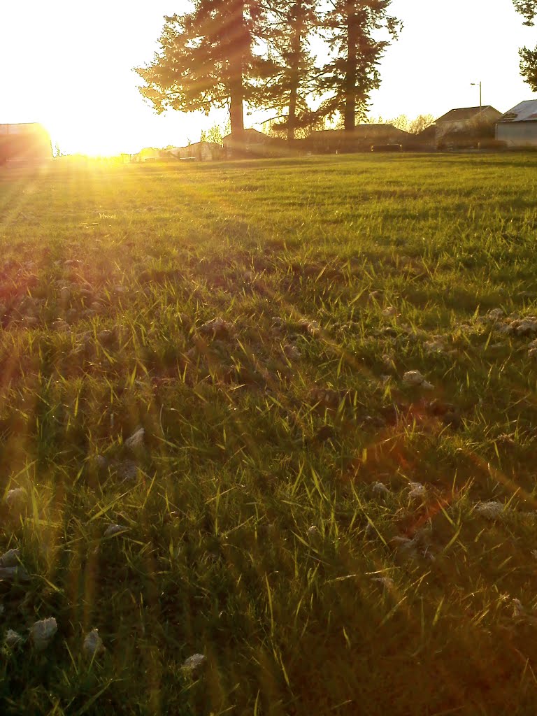 Sunset on Five Mile